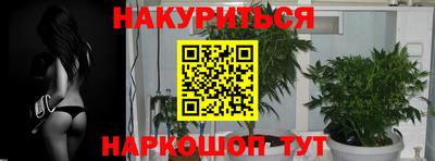 индика Северобайкальск